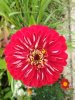 IMG_20170617_164014.jpg