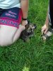 IMG_20170618_142835.jpg