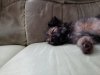 IMG_20170618_165053.jpg