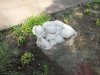IMG_20170622_084331.jpg