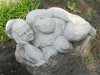 IMG_20170622_084344.jpg