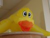IMG_20170623_111908.jpg
