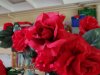 IMG_20170623_112258.jpg