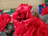 IMG_20170623_112311.jpg