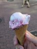 IMG_20170624_191304.jpg