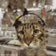 nylo