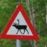 Suppenkasper