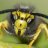 Bernd.MG